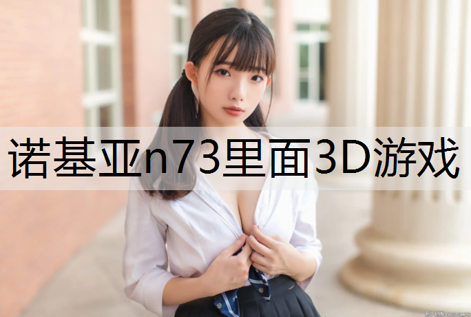 诺基亚n73里面3D游戏